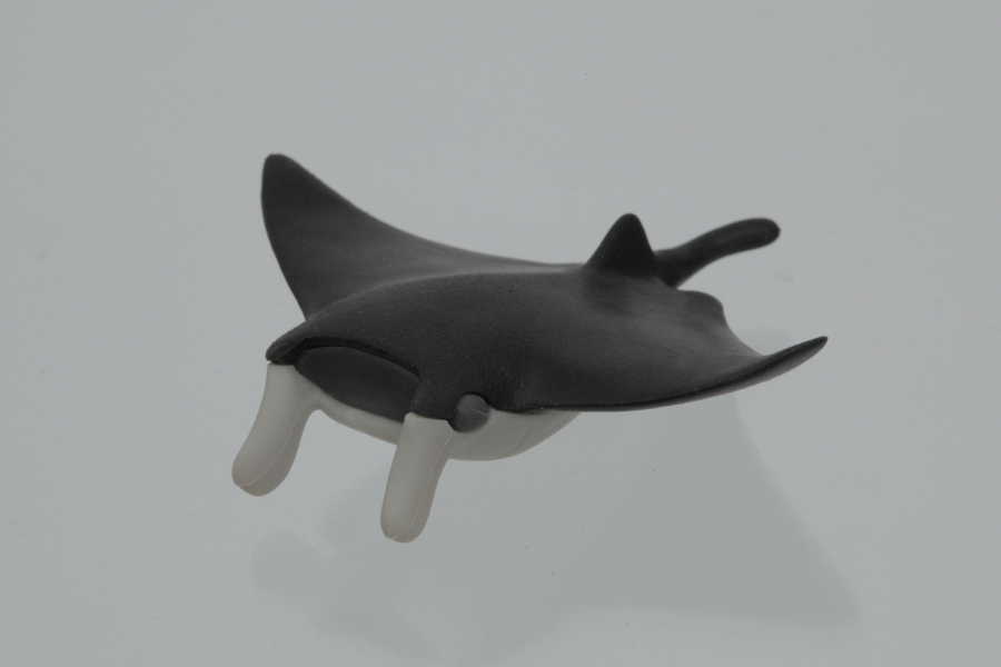 Manta Ray Erasers - Black (50 pcs/bag)